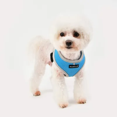 Puppia Soft Harness II - Harnais Souple pour Chiens de Petite et Moyenne Ta