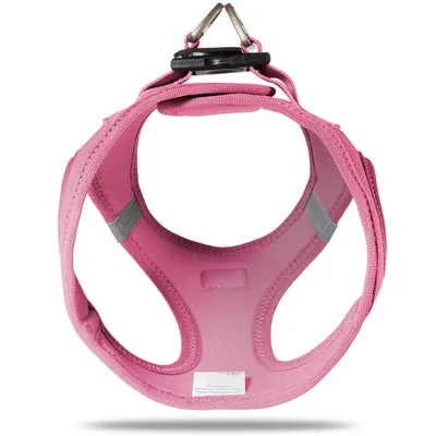 Curli Air Mesh Harnais pour Chien