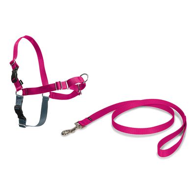 EASY WALK Harnais M - Framboise - Pour chien