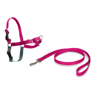 EASY WALK Harnais M - Framboise - Pour chien