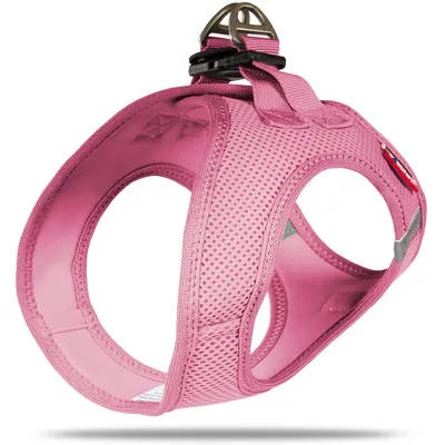 Curli Air Mesh Harnais pour Chien