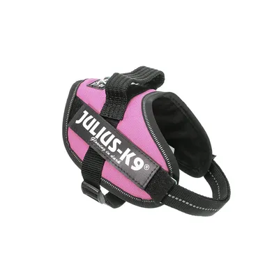 Julius K9 IDC Harnais pour chien rose grand: Mini-Mini