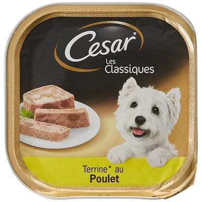 Bobby Harnais T-Shirt Marina pour Chien Bleu 20 mm Tour de Cou: 33 Poitrail Bobby Harnais T-Shirt Marina pour Chien Bleu 20 mm Tour de Cou: 33 Poitrail