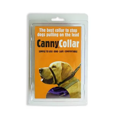 Canny Collier Collier de Chien, Couleur Violet Canny Collier Collier de Chien, Couleur Violet