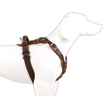 DINGO GEAR Harnais pour Chien Fait Main en Cuir Noble, Marron foncé, de la