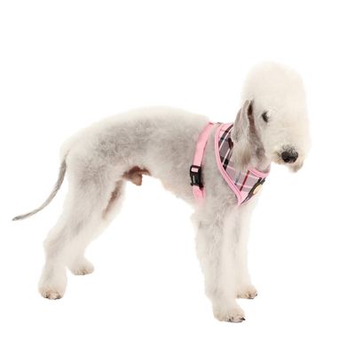 Puppia Junior - Harnais Petit Chien - leger et Super Doux - Harnais Anti Tr