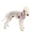 Puppia Junior - Harnais Petit Chien - leger et Super Doux - Harnais Anti Tr