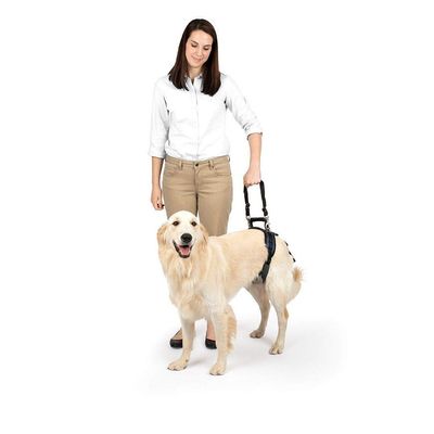 PetSafe Harnais de Levage Arrière CareLift - Soulèvement à l'aide d'une Poi
