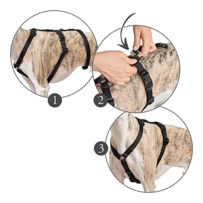 Harnais pour Chien Hunter 48-70 cm Noir S/M Harnais pour Chien Hunter 48-70 cm Noir S/M