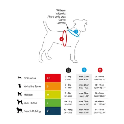 Curli 0101-0302-1-501-07 Basic Harnais Air-Mesh Bleu Ciel