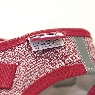 Curli PN2592 Harnais en Laine mérinos Noir Taille XS 49 g Curli PN2592 Harnais en Laine mérinos Noir Taille XS 49 g