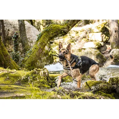 Harnais IDC Power, Taille: 0, Camouflage Armee