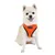 Puppia Harnais pour Chiens Soft Harness II, Orange, M