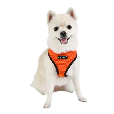 Puppia Harnais pour Chiens Soft Harness II, Orange, M