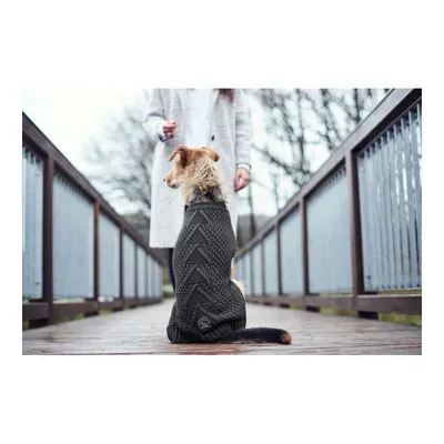 HUNTER Chien Pull Malmö, Anthracite 35 cm, M