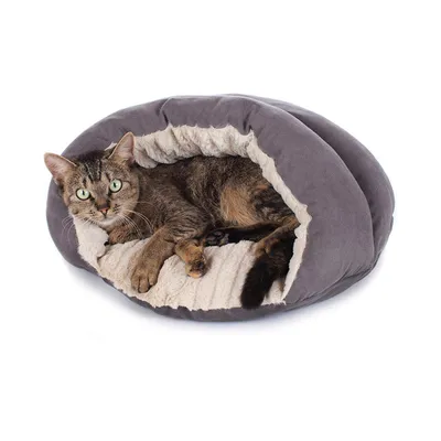 Hunter Brighton pour Chat, 43 x 43 cm, Gris Hunter Brighton pour Chat, 43 x 43 cm, Gris