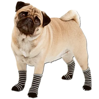 Karlie Chaussettes pour Chien Motif Pattes Karlie Chaussettes pour Chien Motif Pattes
