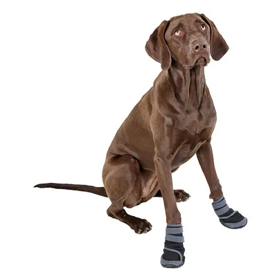 Kerbl Active Protection des Pattes pour Chien Gris/Noir Taille XS Kerbl Active Protection des Pattes pour Chien Gris/Noir Taille XS