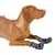 Kerbl Active Protection des Pattes pour Chien Gris/Noir Taille XS Kerbl Active Protection des Pattes pour Chien Gris/Noir Taille XS