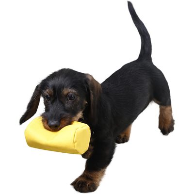 KERBL Rouleau d'Apprentissage pour Chien Jaune 10 x 5 cm