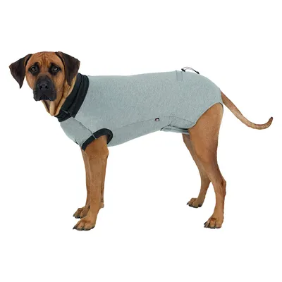 Trixie Body de Protection pour Chien Taille M/L