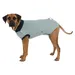 Trixie Body de Protection pour Chien Taille M/L