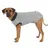 Trixie Body de Protection pour Chien Taille M/L Trixie Body de Protection pour Chien Taille M/L
