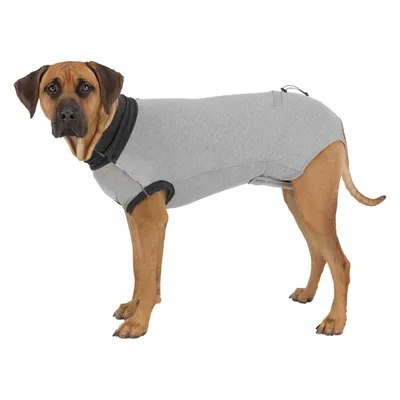 Trixie Body de Protection pour Chien Taille M/L Trixie Body de Protection pour Chien Taille M/L