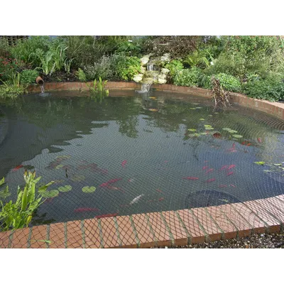 Blagdon Clearview Filet de protection fin