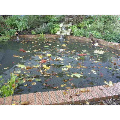 Blagdon Clearview Filet de protection fin