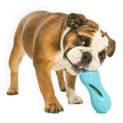 Jouet de puzzle pour chiens Jouet de chiens Qwizl Taille L Multicolore