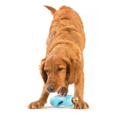 Jouet de puzzle pour chiens Jouet de chiens Qwizl Taille L Multicolore