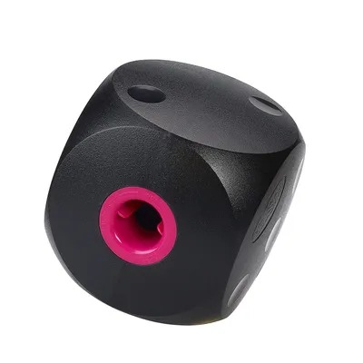 Buster Cube Mini for Smaller Dogs (Colour: Black)