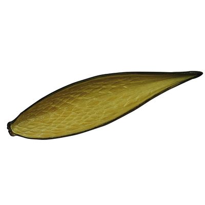 LUCKY REPTILE DB-01 Nature's Treasure Boîte avec Objets décoratifs fabriqué