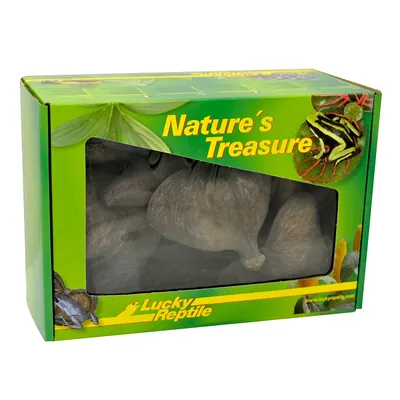 LUCKY REPTILE DB-01 Nature's Treasure Boîte avec Objets décoratifs fabriqué