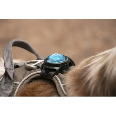 Orbiloc Lampe Dual Safety Light Ultra-Résistante, Longue Portée 5 Km Pour C Orbiloc Lampe Dual Safety Light Ultra-Résistante, Longue Portée 5 Km Pour C