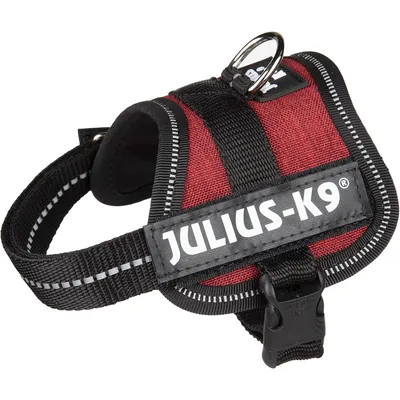 Nobby Gamelle en céramique pour rongeurs Motif Lapin Vert/Blanc Ø 11 cm x 4