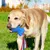 Jouet à Mâcher pour Chiens Petsation - Chaussure Résistante