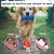 Jouet à Mâcher pour Chiens Petsation - Chaussure Résistante