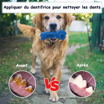 Jouet à Mâcher pour Chiens Petsation - Chaussure Résistante
