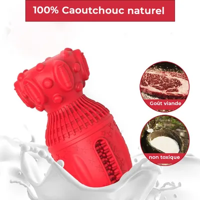 Jouet à Mâcher pour Chiens Petsation - Chaussure Résistante