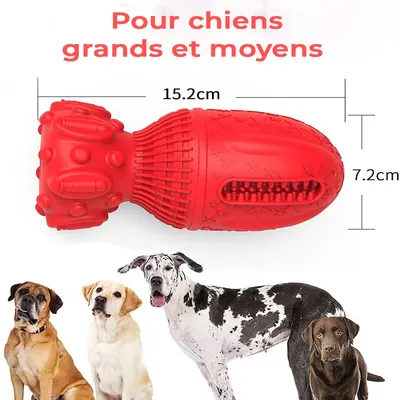 Jouet à Mâcher pour Chiens Petsation - Chaussure Résistante