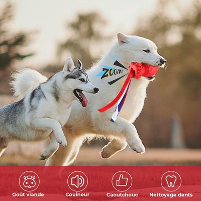Jouet à Mâcher pour Chiens Petsation - Chaussure Résistante