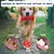 Jouet à Mâcher pour Chiens Petsation - Chaussure Résistante