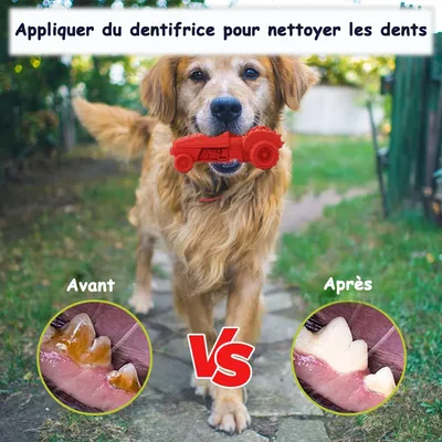 Jouet à Mâcher pour Chiens Petsation - Chaussure Résistante