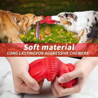Jouet à Mâcher pour Chiens Petsation - Chaussure Résistante