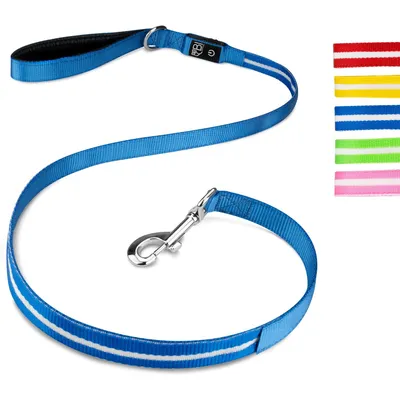 Laisse Lumineuse pour Chiens - Sécurité Nocturne, Rechargeable USB,