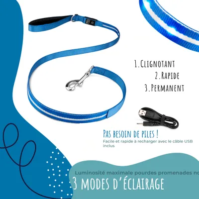 Laisse Lumineuse pour Chiens - Sécurité Nocturne, Rechargeable USB,