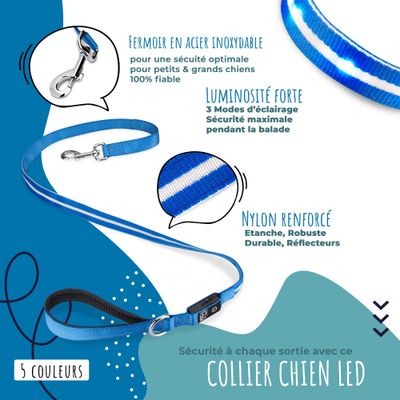Laisse Lumineuse pour Chiens - Sécurité Nocturne, Rechargeable USB,