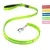 Laisse Lumineuse pour Chiens - Sécurité Nocturne, Rechargeable USB,